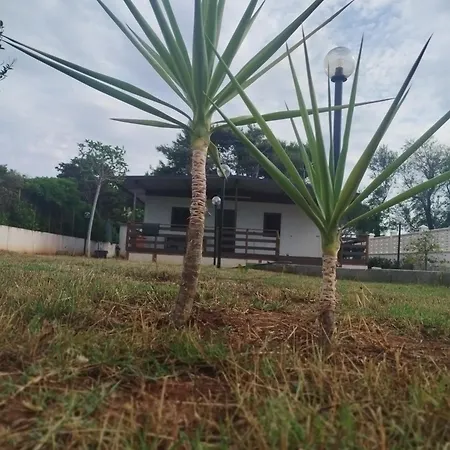 La Casa Di Mamy *
